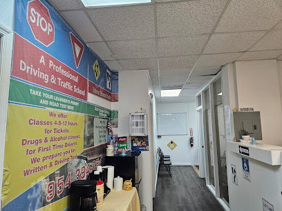 A Professional Driving School