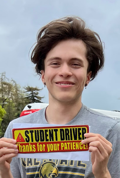 LA Private Driving Instructor (Licensed)