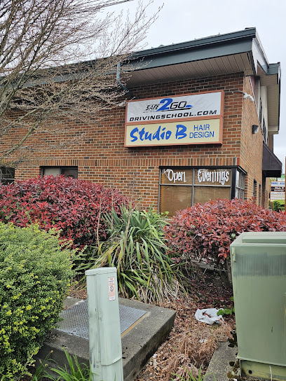 Safe2Go Driving School